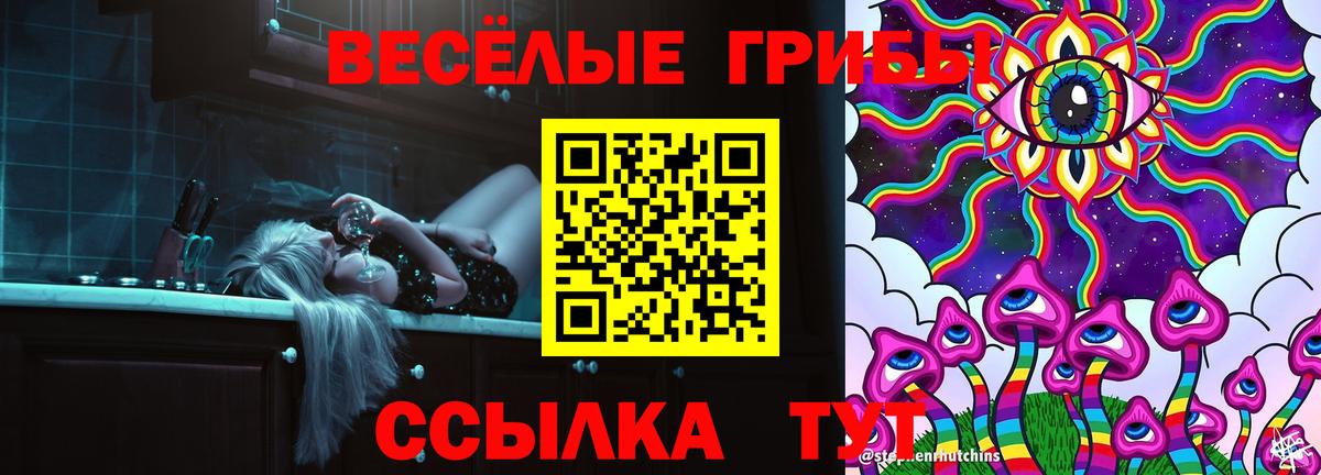 APVP Ростов Великий