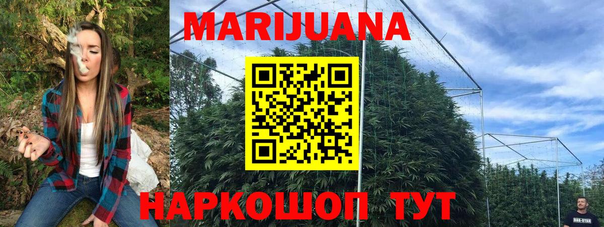 Каннабис сатива Ростов Великий